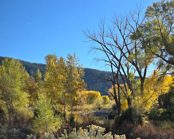 Durango & Silverton Narrow Gauge Railroad